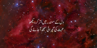 20+ Love Poetry In Urdu Text 2 Lines Love Poetry In Urdu Text