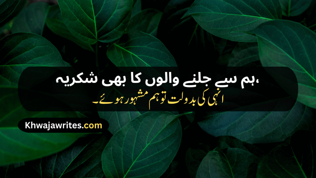 attitude poetry in urdu copy paste