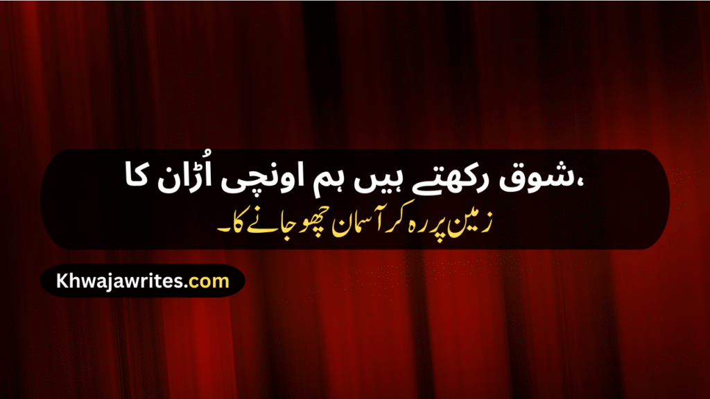 Attitude Poetry In Urdu 2 Lines Text