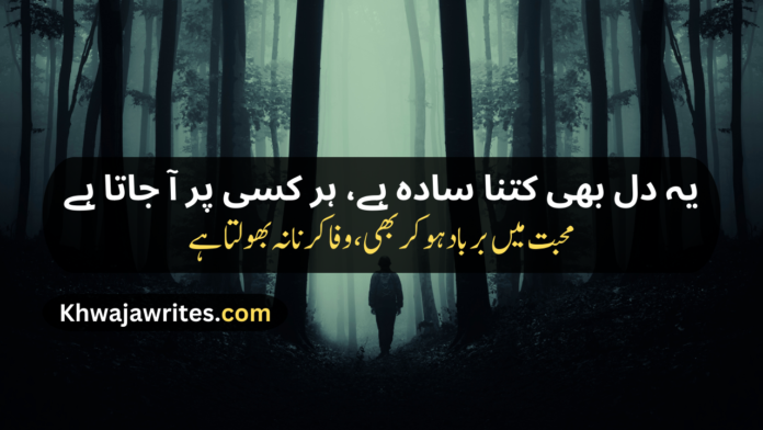 sad poetry in urdu text