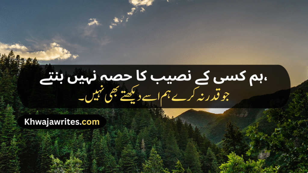 attitude poetry in urdu copy paste