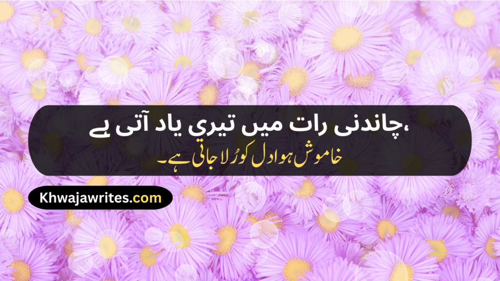 Poetry In Urdu 2 lines