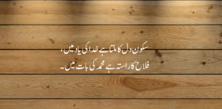 20+ Best Islamic Poetry In Urdu 2 Lines Copy Paste Islamic Poetry In Urdu