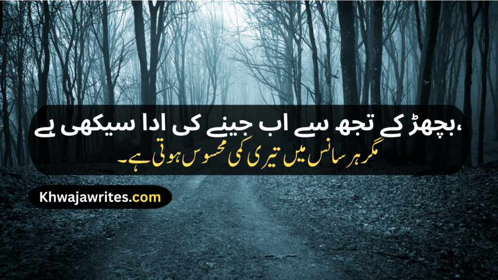 Sad Poetry in Urdu