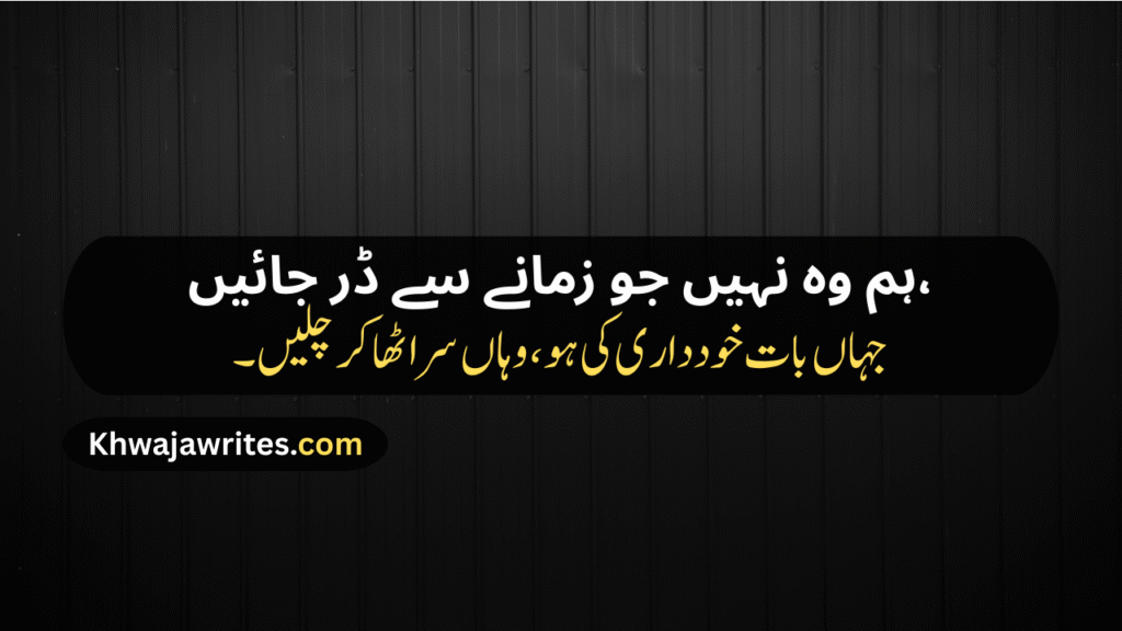 Poetry In Urdu 2 Lines Attitude