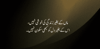 26+ Best Emotional Maa Poetry In Urdu 2 lines Emotional Maa Poetry In Urdu