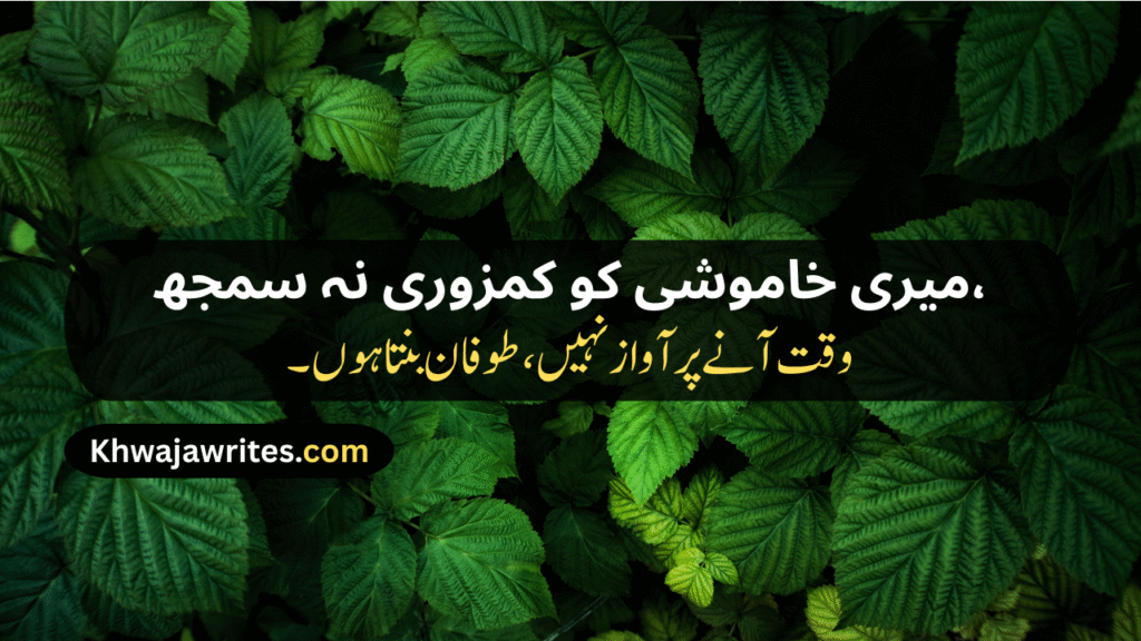 Attitude Poetry For Boy In Urdu Text