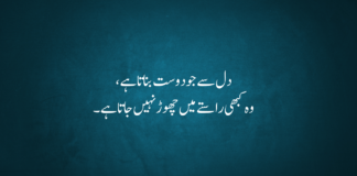 25+ Best Friends Poetry In Urdu Text Best Friends Poetry In Urdu Text