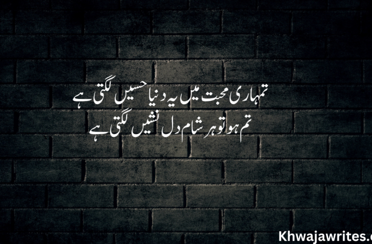 20+ Best Romantic Poetry In Urdu 2 Lines Romantic Poetry In Urdu