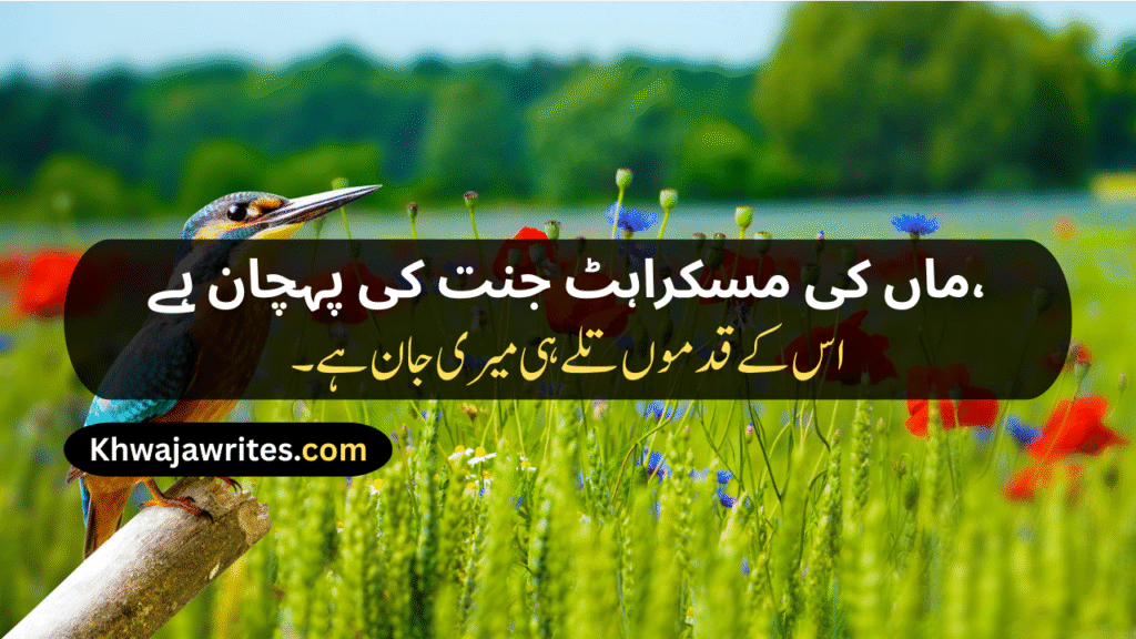  Mother Poetry In Urdu Text 