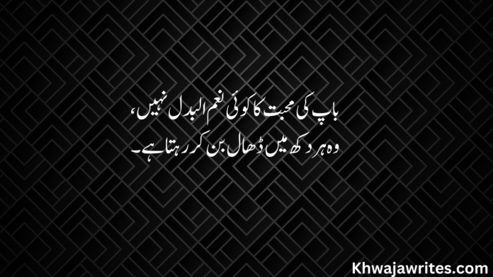 20+ Two Line Shayari For Father In Urdu