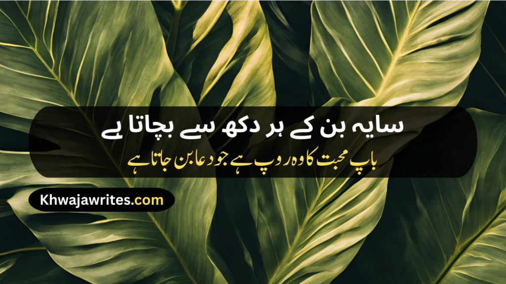 Father Love Poetry In Urdu
