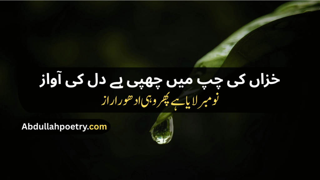 November Poetry In Urdu