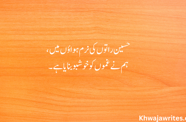 40+ Best Aesthetic Poetry in Urdu Aesthetic Poetry In Urdu