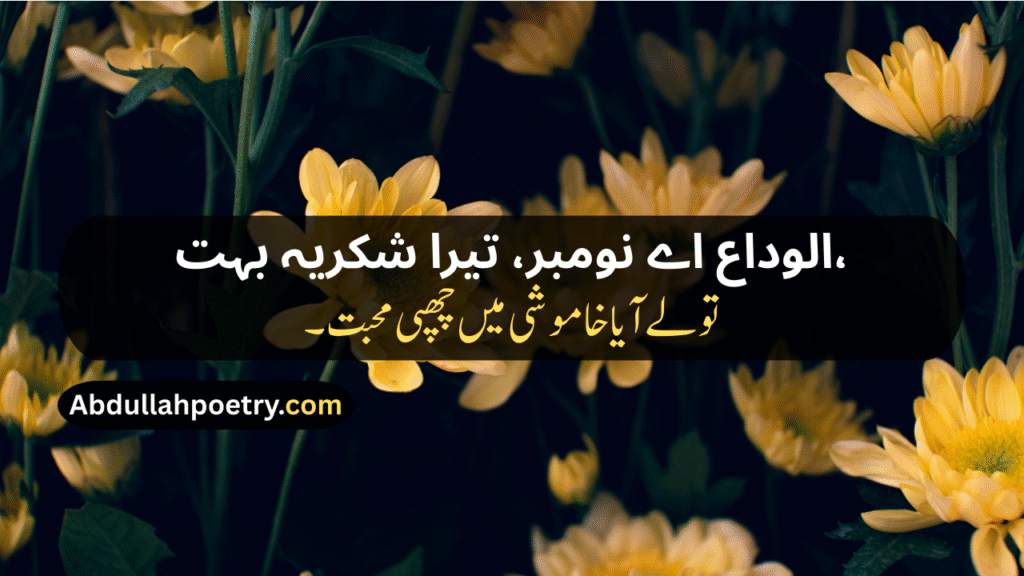 Alvida November Poetry​