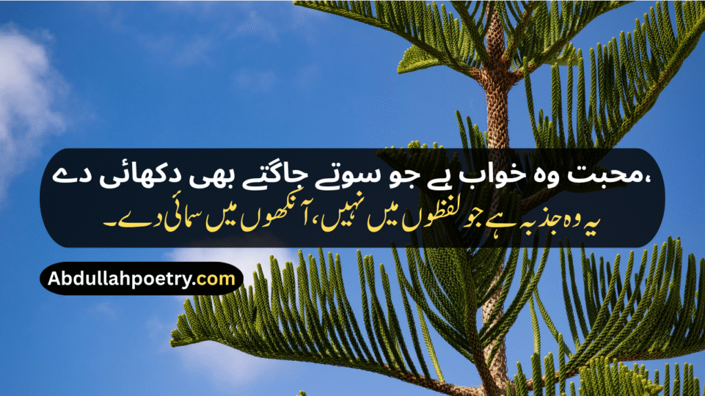 Best Love Poetry In Urdu