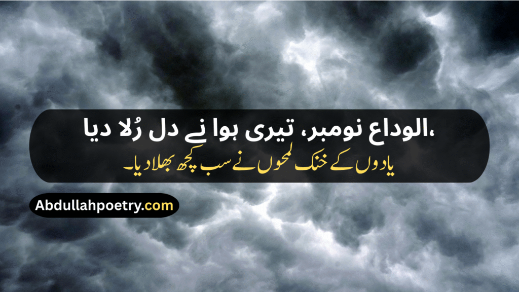 Alvida November Poetry​