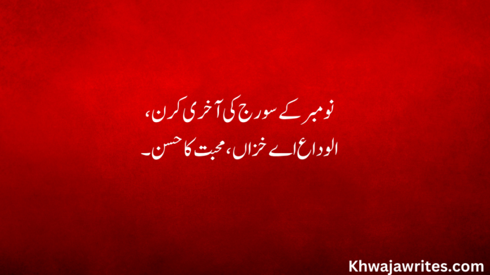 46 Alvida November Poetry