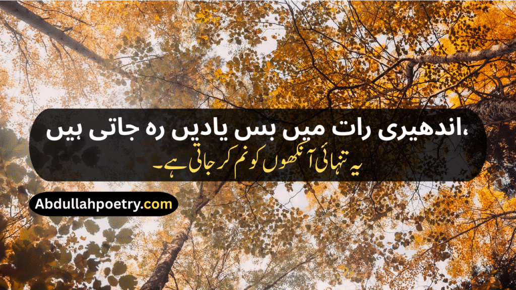 Tanhai Poetry In Urdu