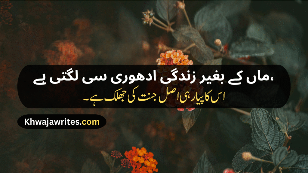 Mother Love Poetry In Urdu