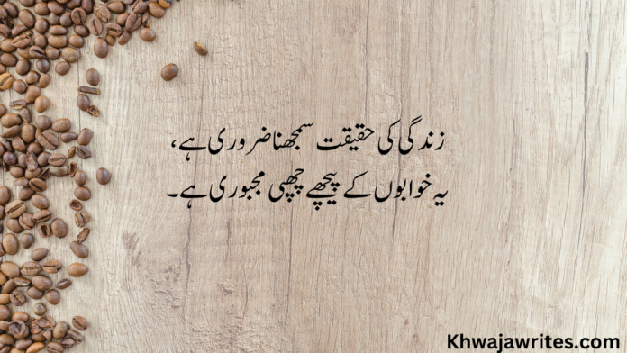 13 2 Line Urdu Poetry Copy Paste About Life