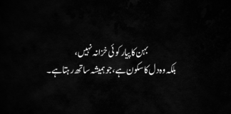 50+ Best Urdu Poetry For Sister Urdu Poetry For Sister