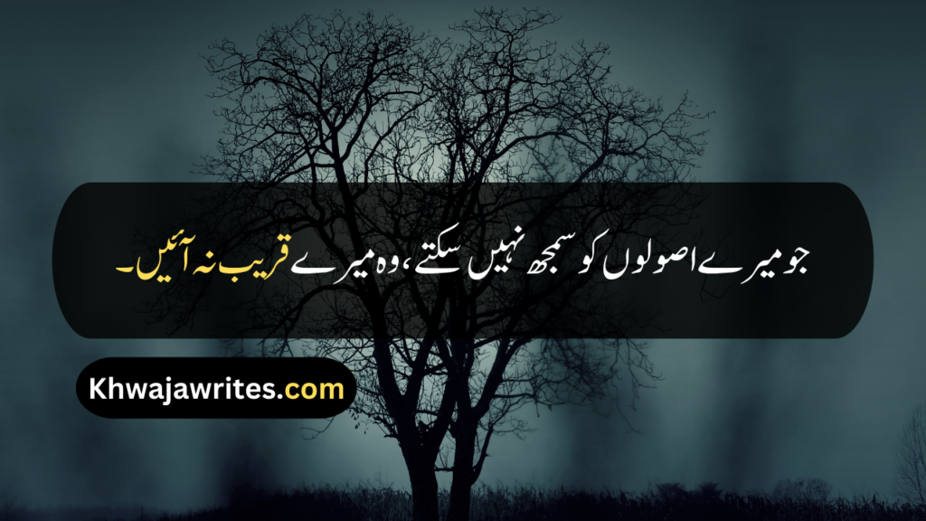 Attitude Quotes In Urdu