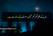 Best 30+ Maa Quotes In Urdu Maa Quotes In Urdu