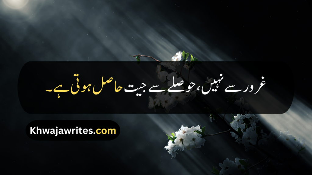Attitude Quotes In Urdu