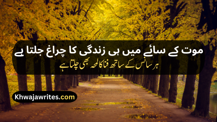 16 Death Poetry In Urdu