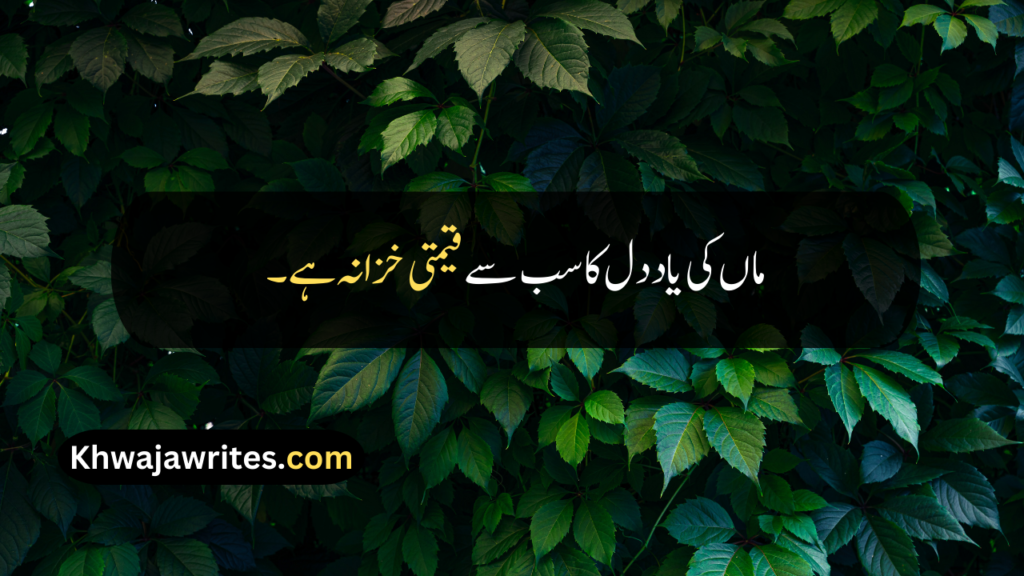 Maa Quotes In Urdu
