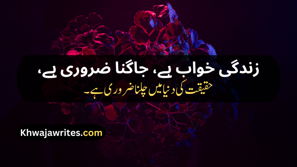Poetry About Life In Urdu