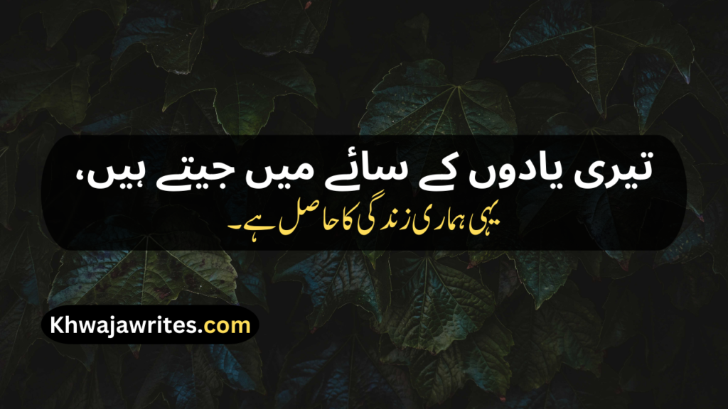 Urdu Poetry Copy Paste