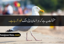 Best 30+ Quotes In Urdu About Life Reality Quotes In Urdu About Life Reality