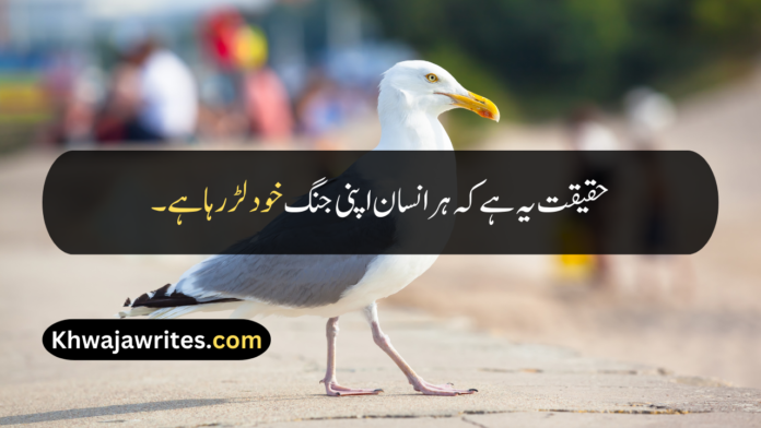 18 Quotes In Urdu About Life Reality