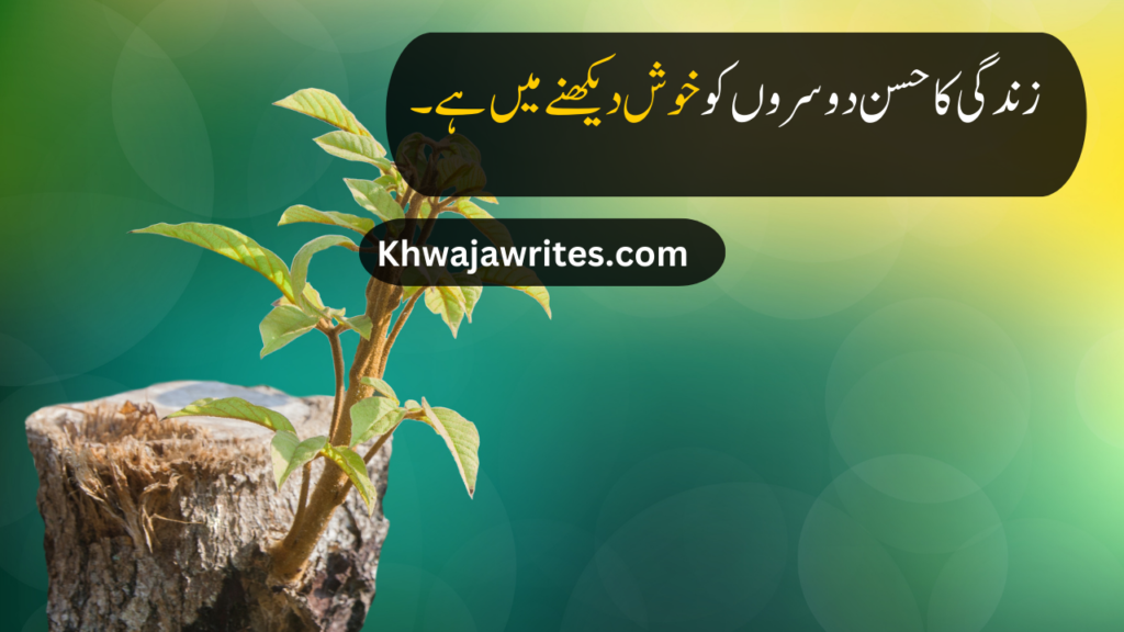 life quotes in urdu