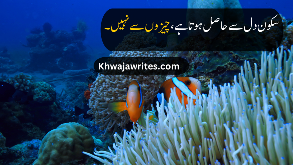 life quotes in urdu