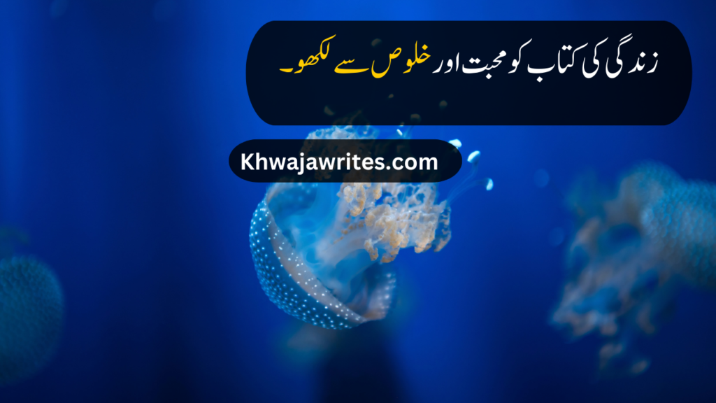 life quotes in urdu