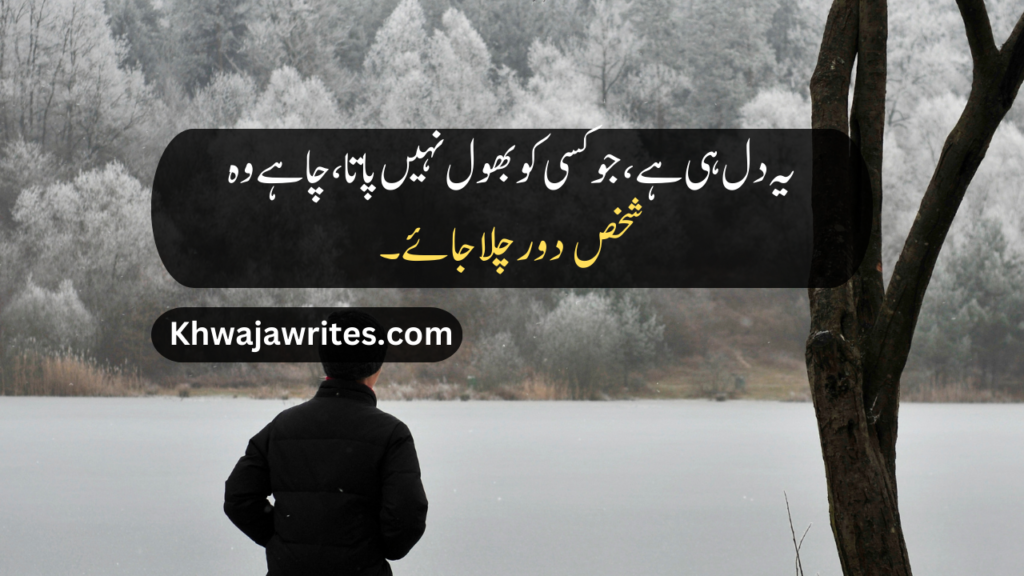 Sad Quotes in Urdu