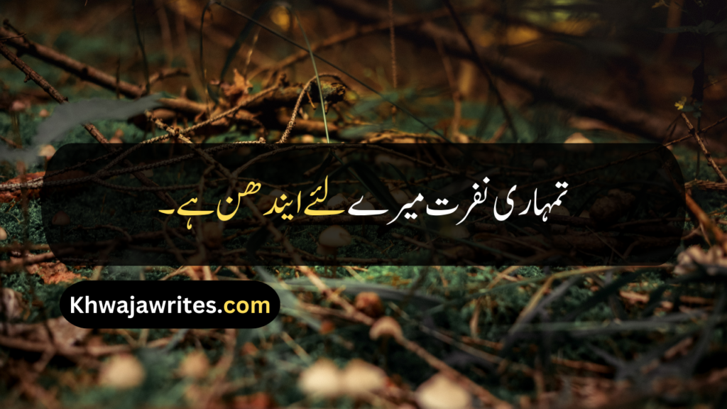 Attitude Quotes In Urdu