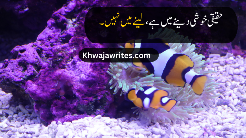 life quotes in urdu