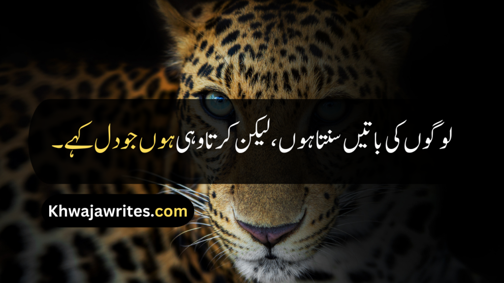 Attitude Quotes In Urdu