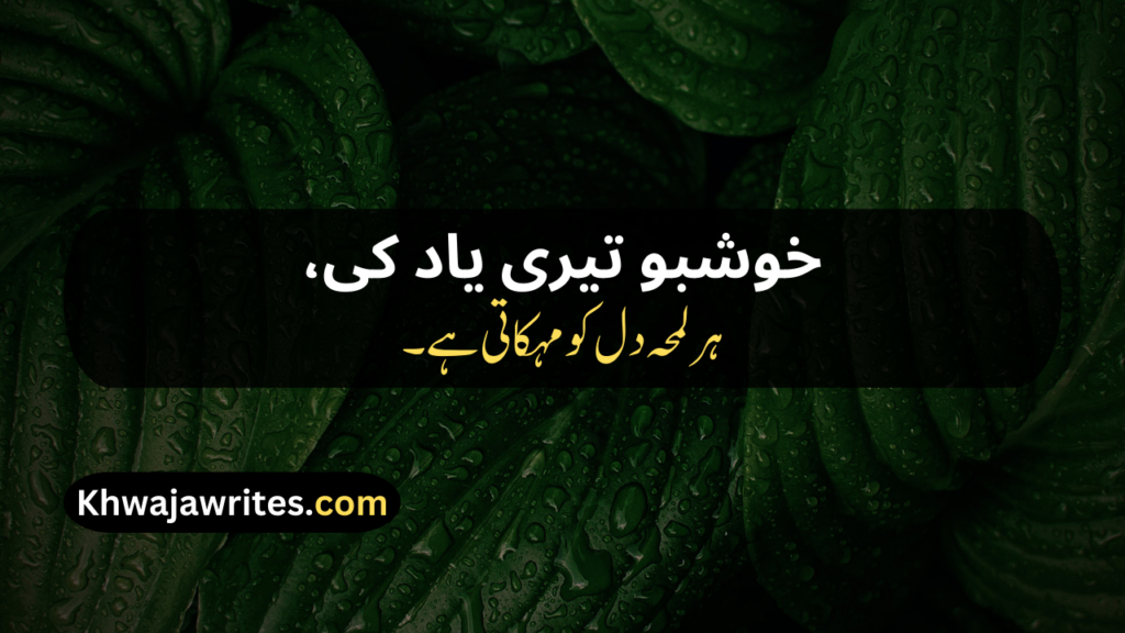 Urdu Poetry Copy Paste