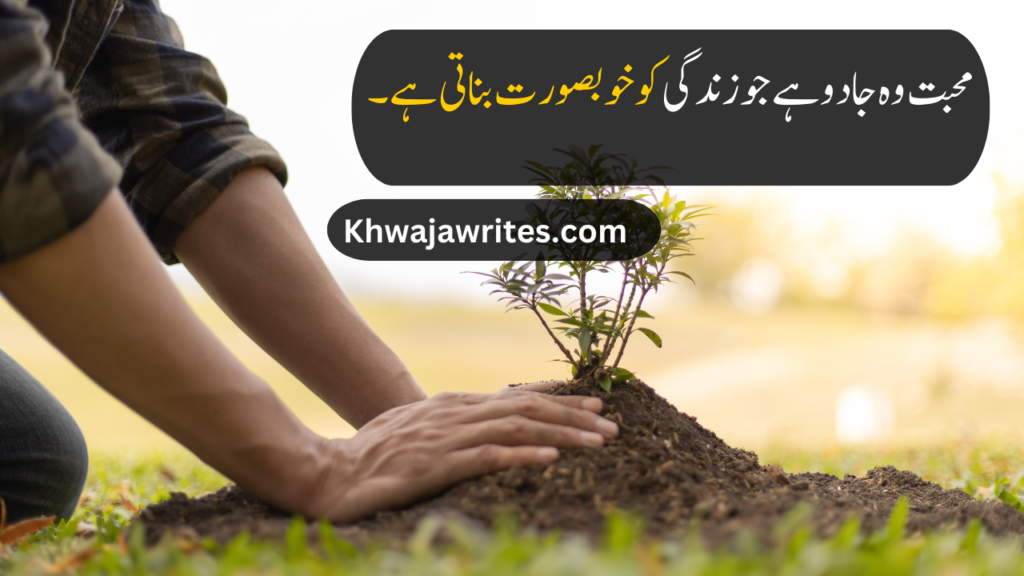 life quotes in urdu