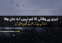 Best 50+Bewafa Poetry In Urdu To Present For You Bewafa Poetry In Urdu