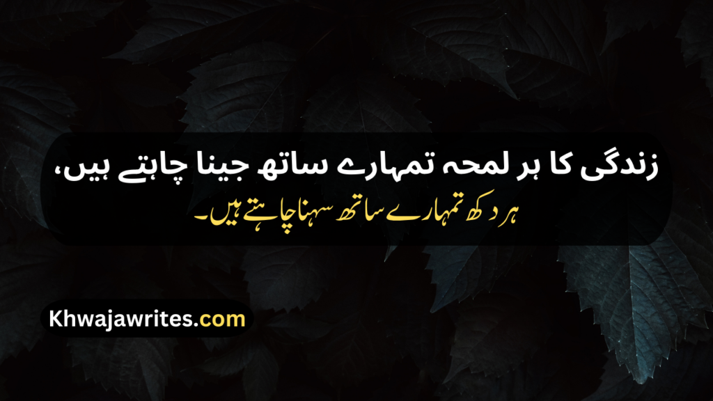 Urdu Poetry Copy Paste
