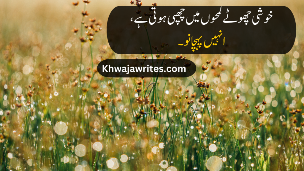 life quotes in urdu