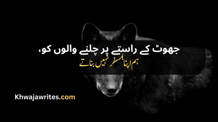 45 Urdu Poetry Attitude