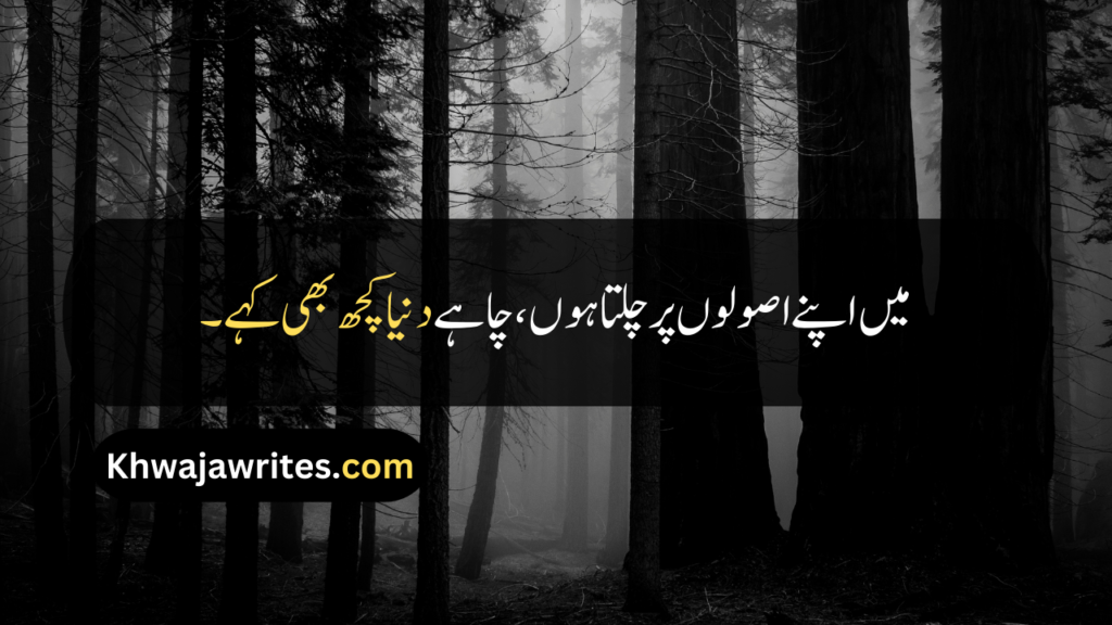 Attitude Quotes In Urdu