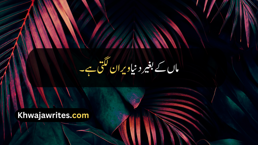 Maa Quotes In Urdu